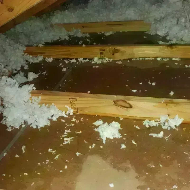 Attic Water Damage in Amboy, IL