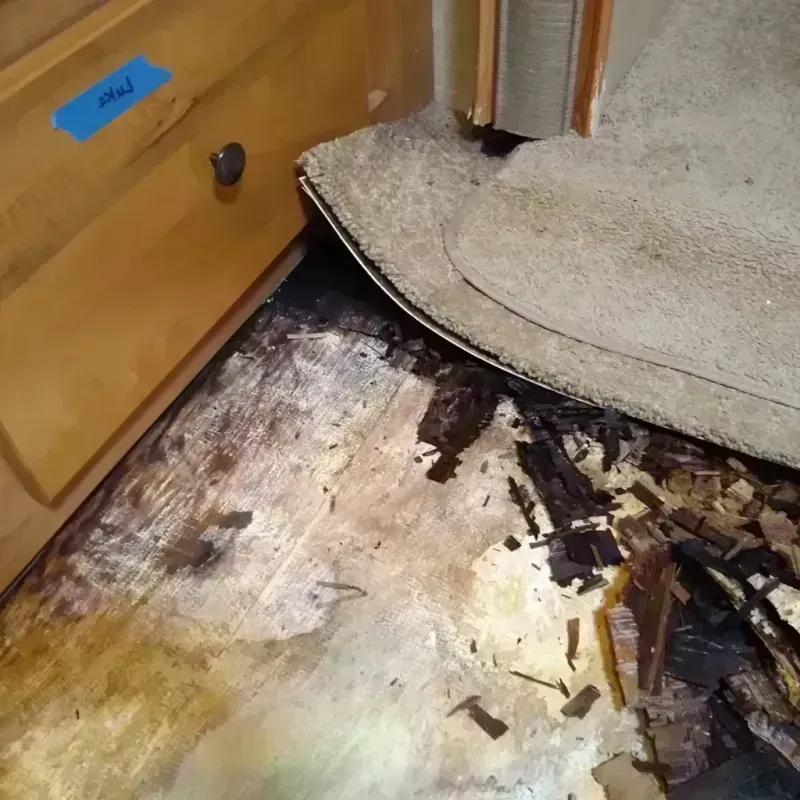 Wood Floor Water Damage in Amboy, IL